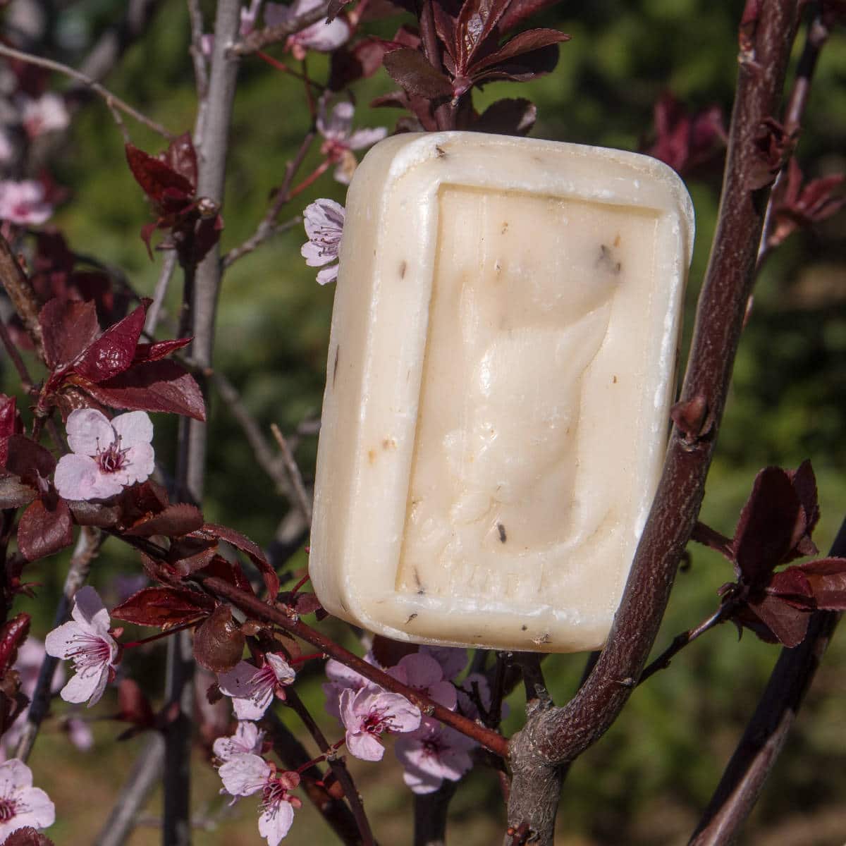 Savon Lait d'ânesse + grains d'avoine (Muguet-Lilas)