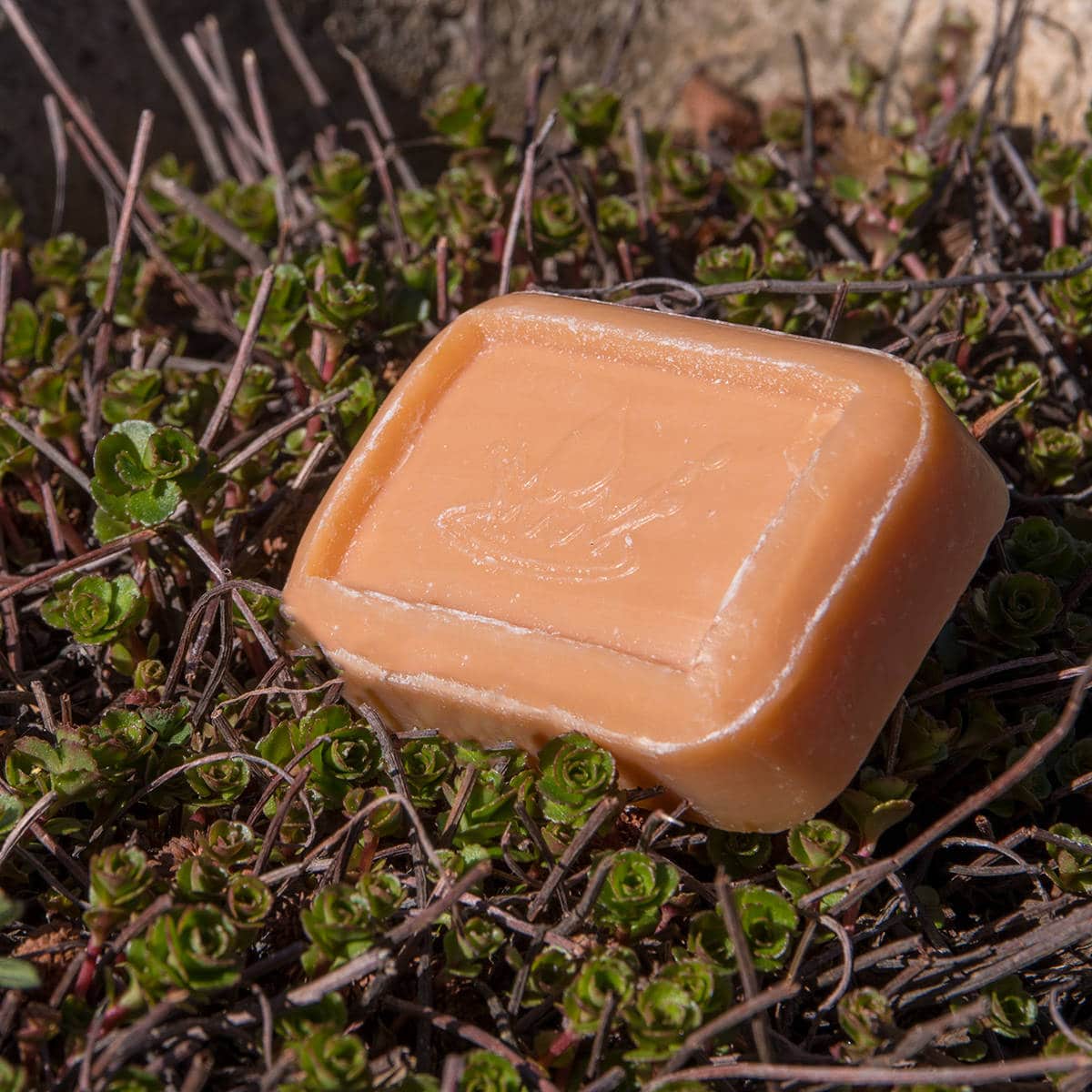 Savon Mangue
