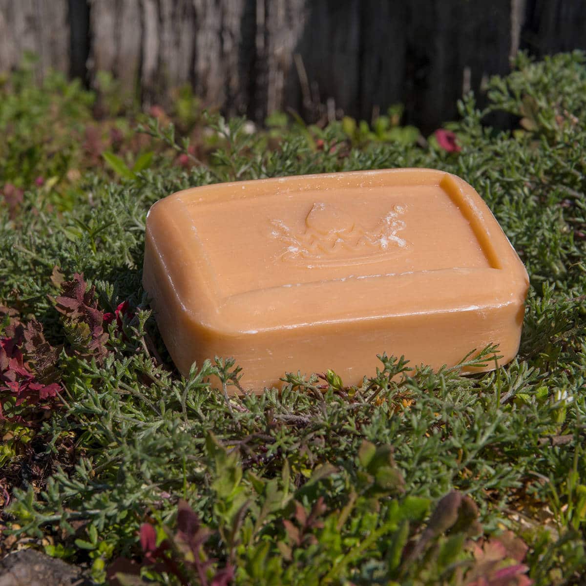 Savon Orange-Cannelle