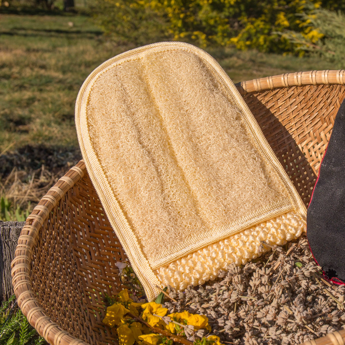 Loofah (gant 100% végétal)