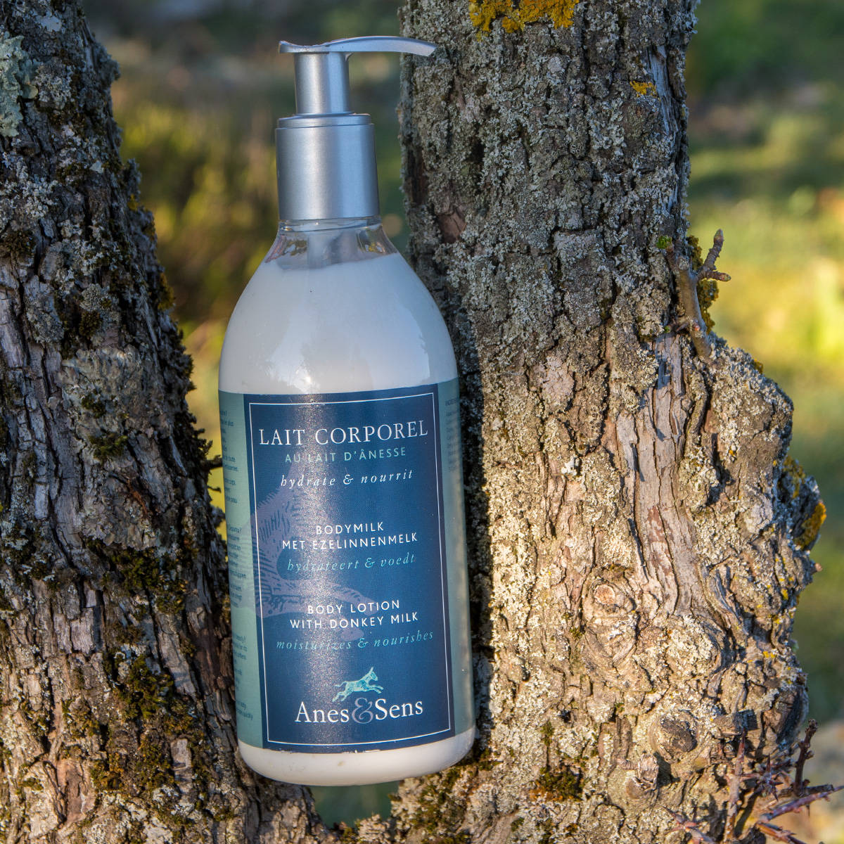 Lait d'ânesse corporel