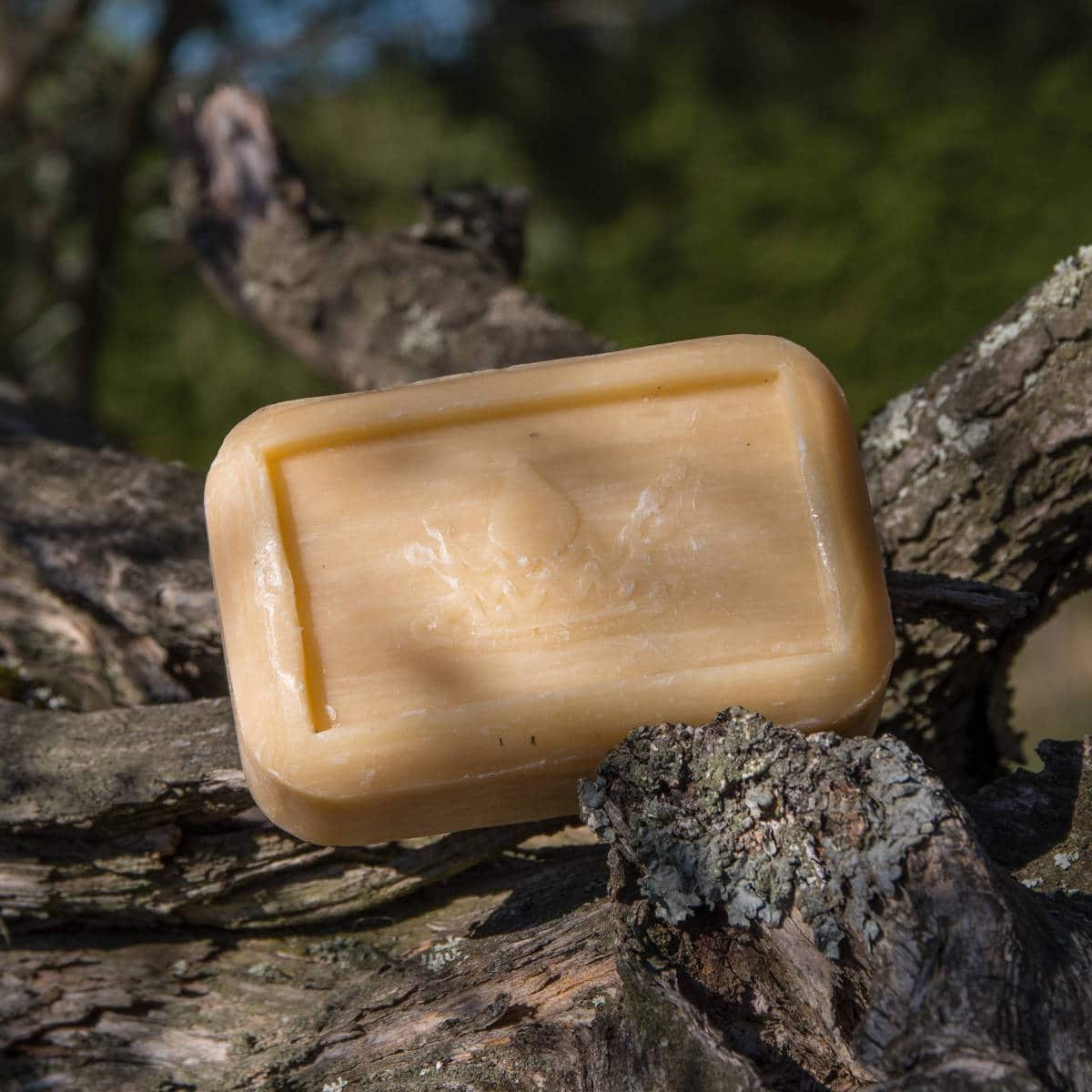 Savon Chèvrefeuille