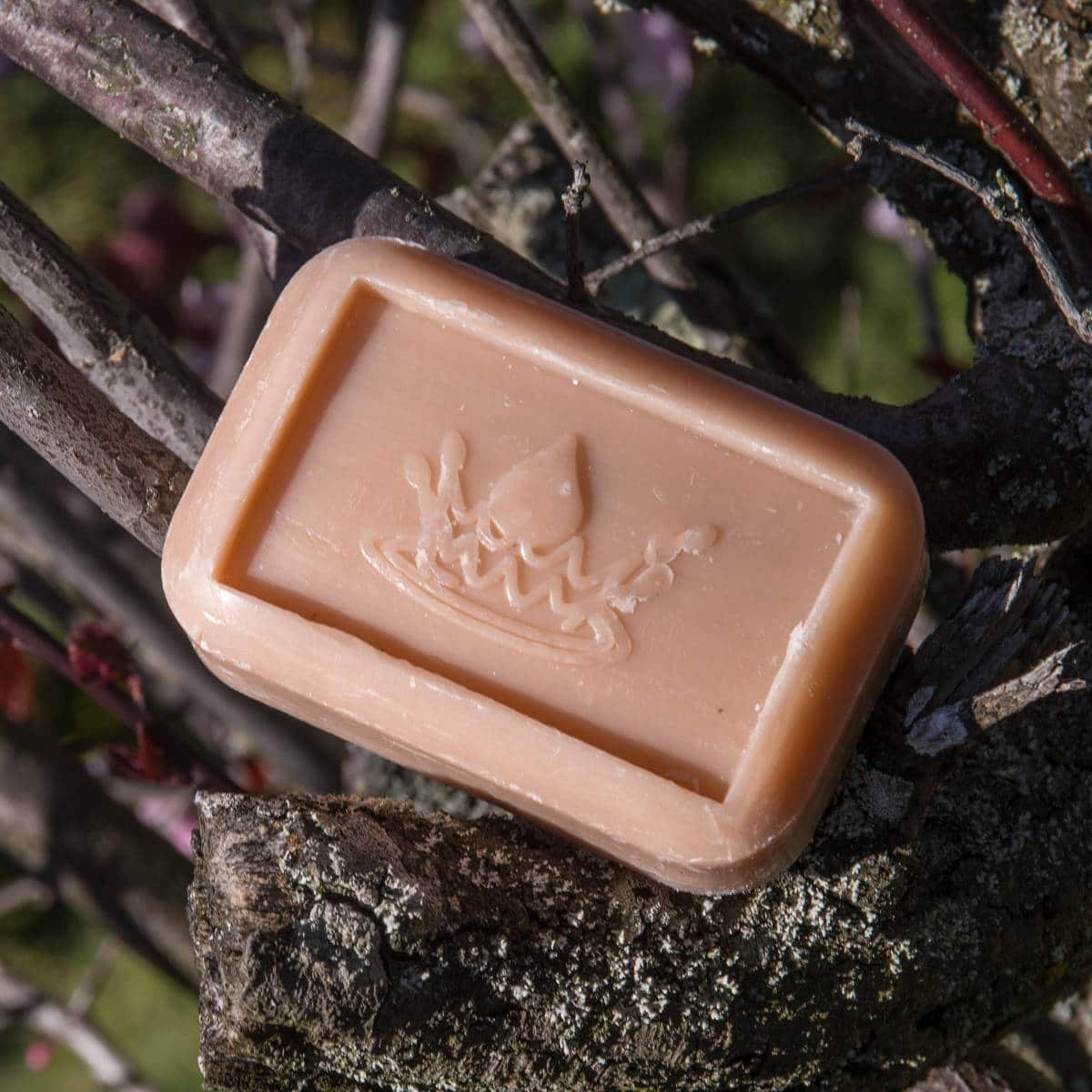 Savon Fleur de coton
