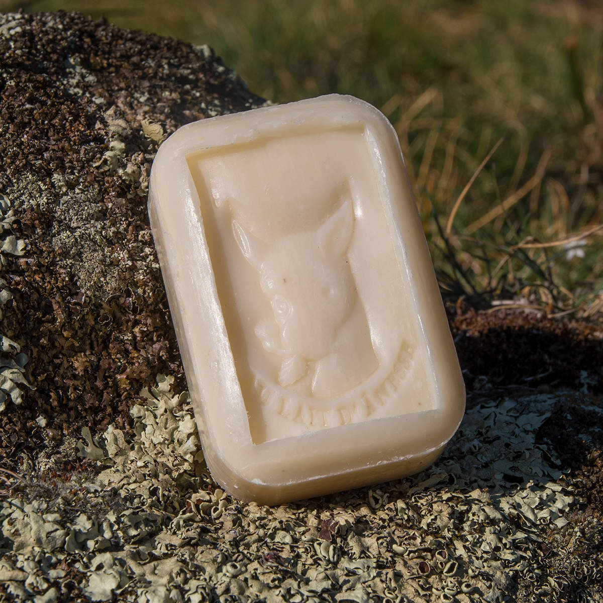 Savon Lait d'ânesse (Citron - Cologne)