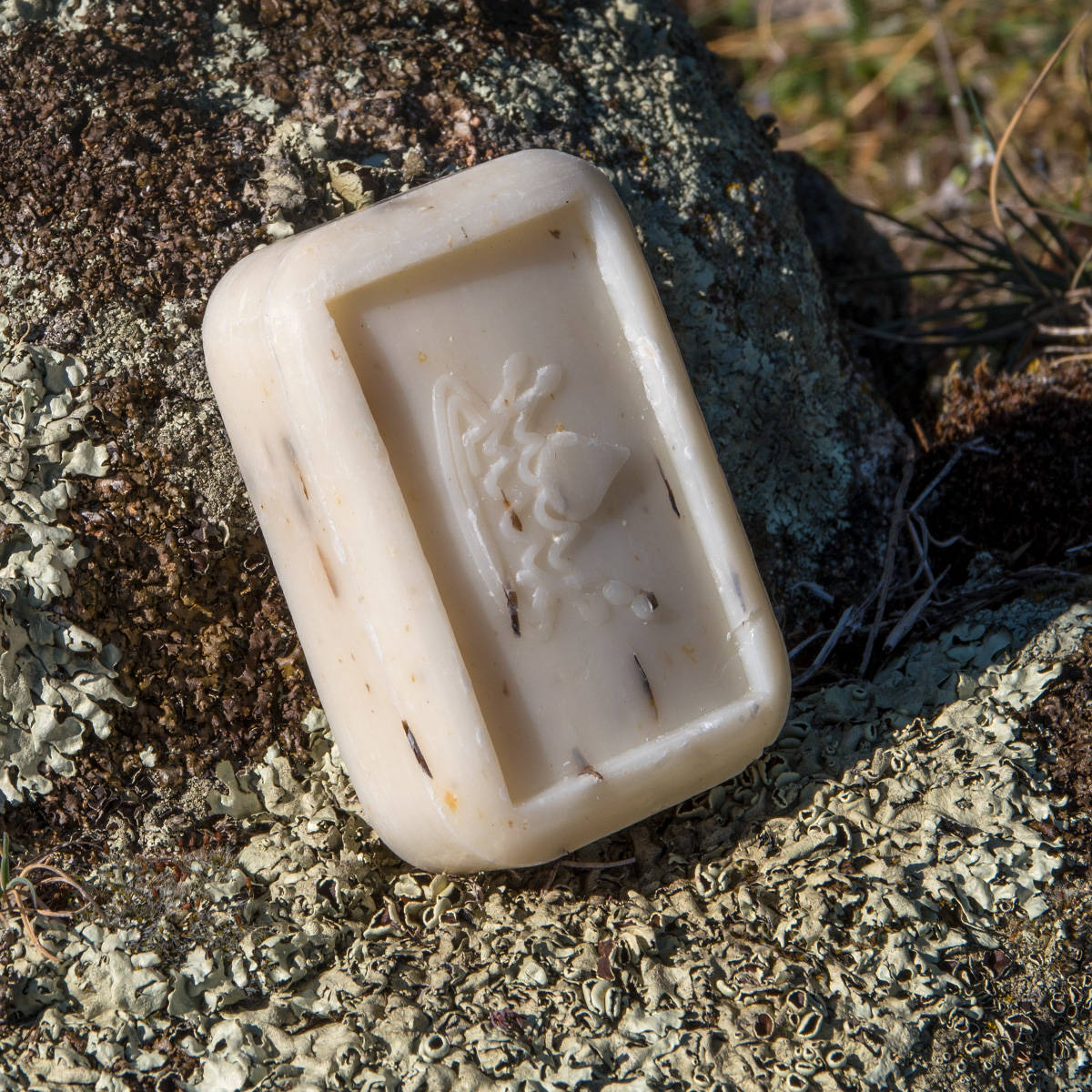 Savon Avoine - Lait