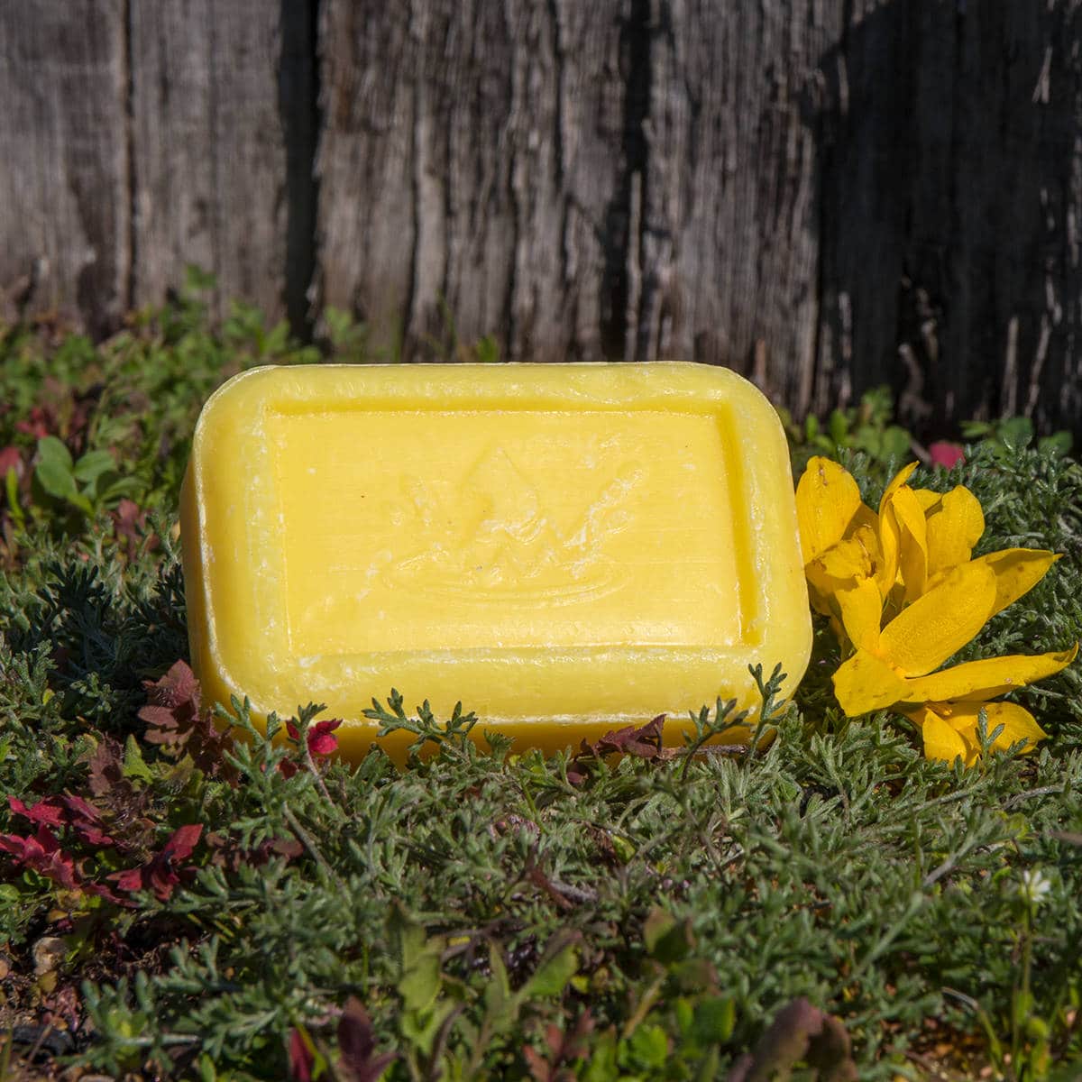 Savon Mimosa