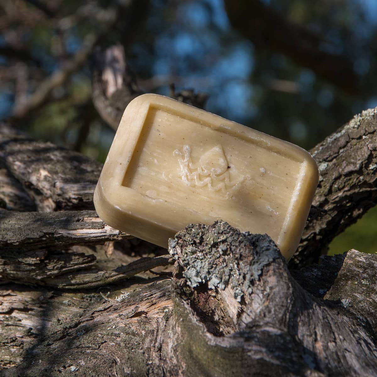 Savon Litsée (Verveine)