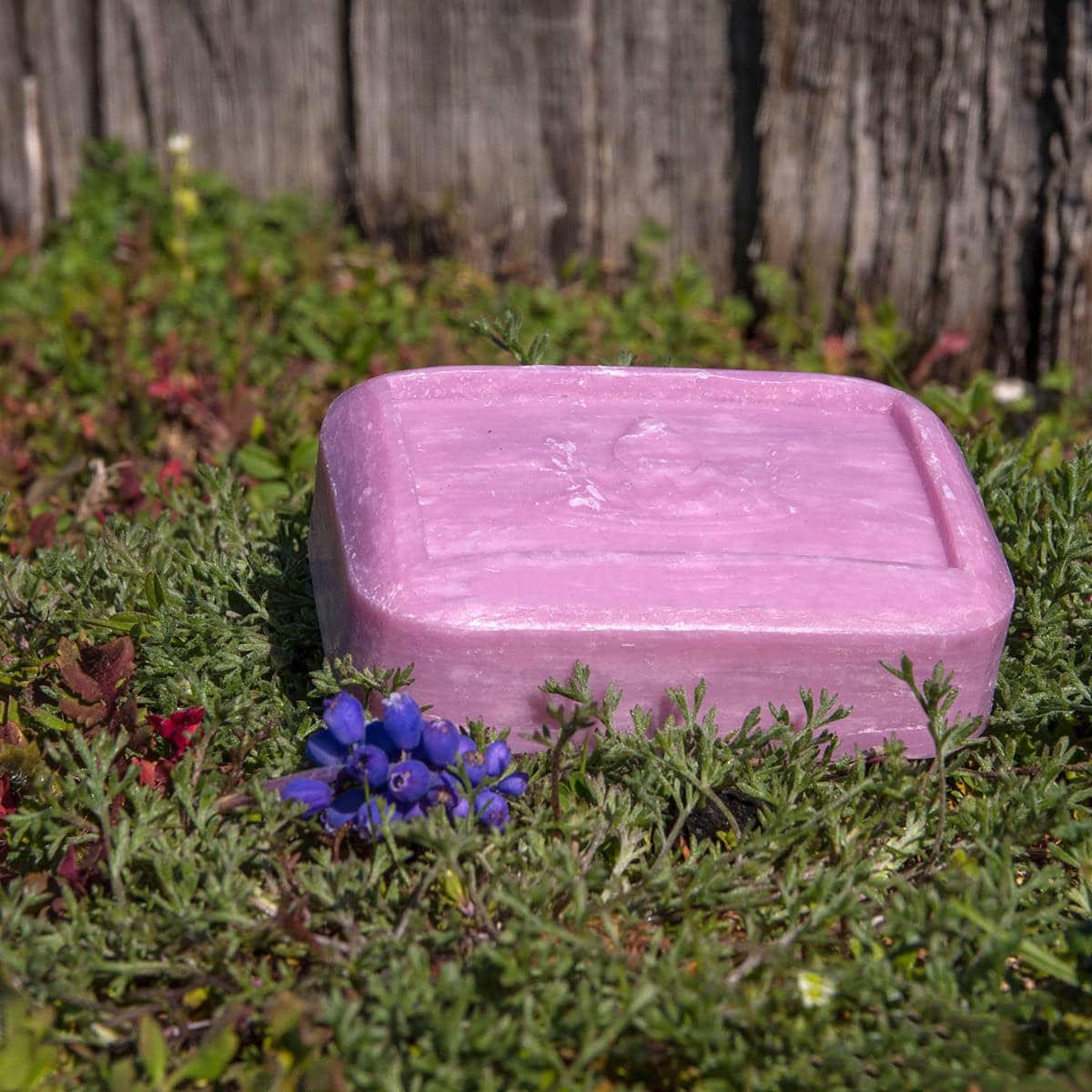 Savon Violette