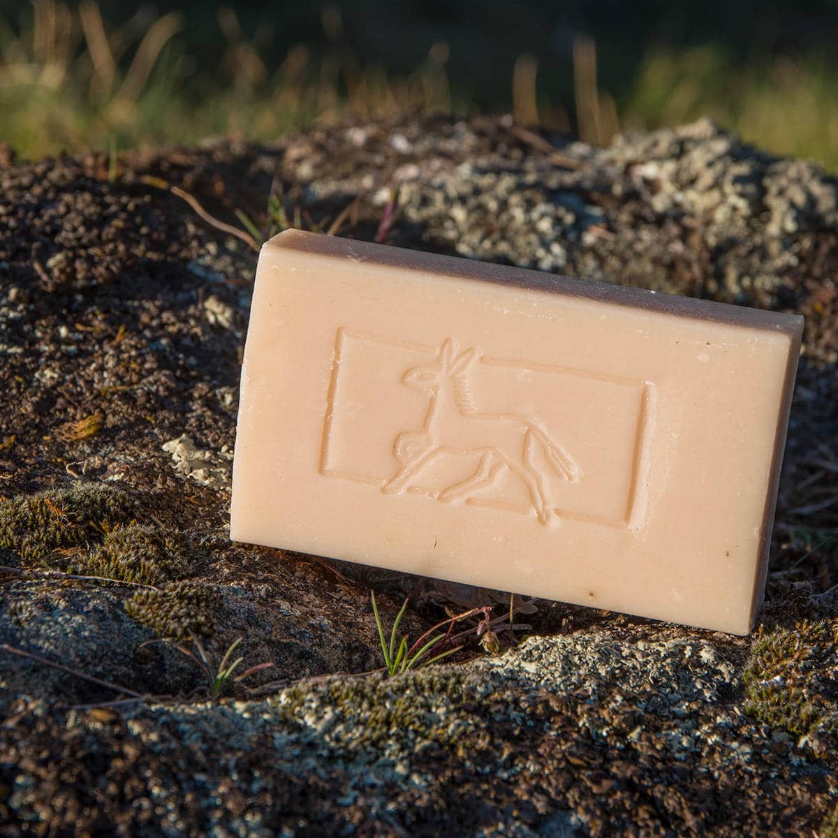 Savon lait d'ânesse & huile d'argan